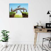 Quadro Decorativo em Tela com Moldura de Madeira - Impressão Digital Multicolor 30x40cm