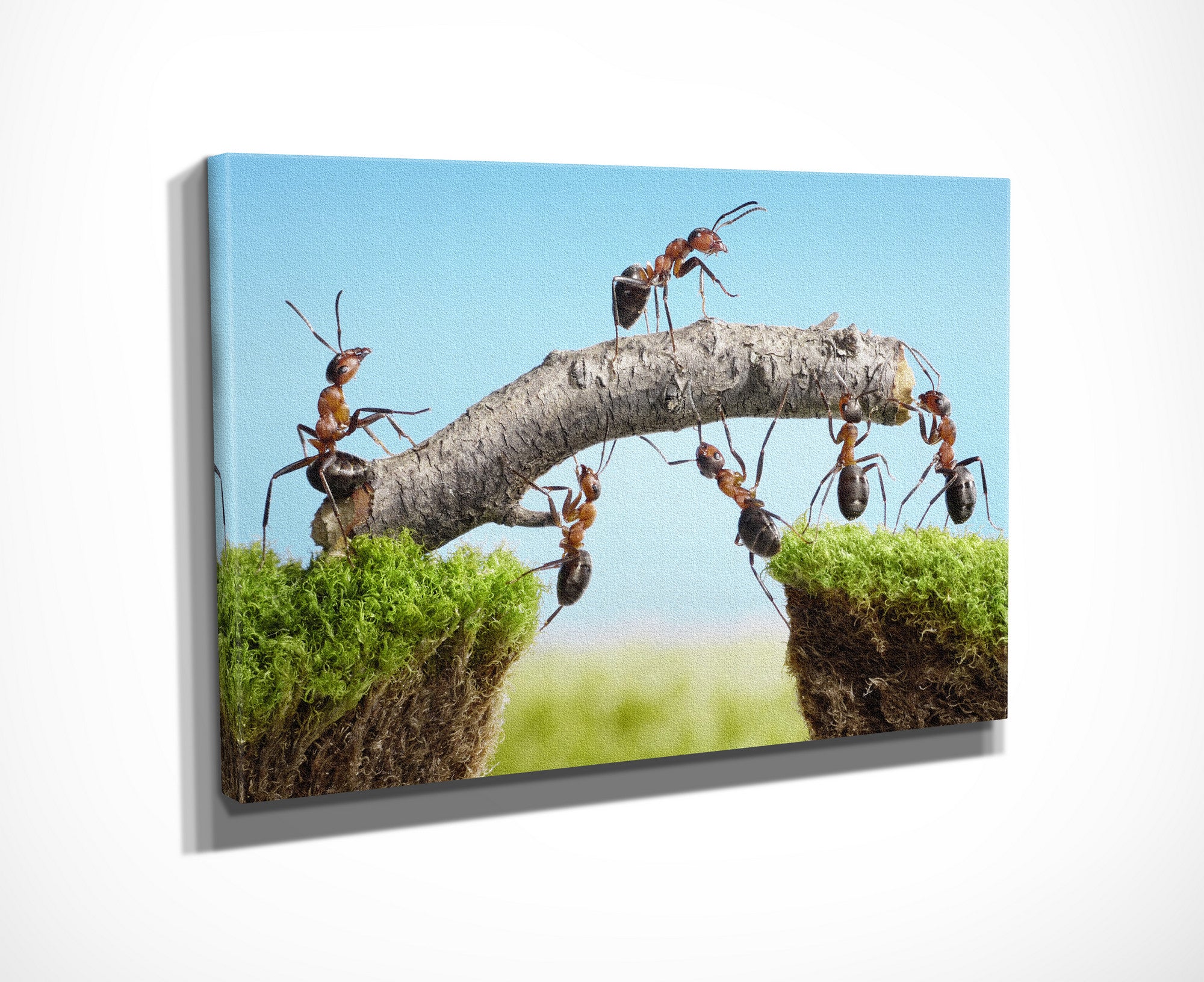 Quadro Decorativo em Tela com Moldura de Madeira - Impressão Digital Multicolor 30x40cm