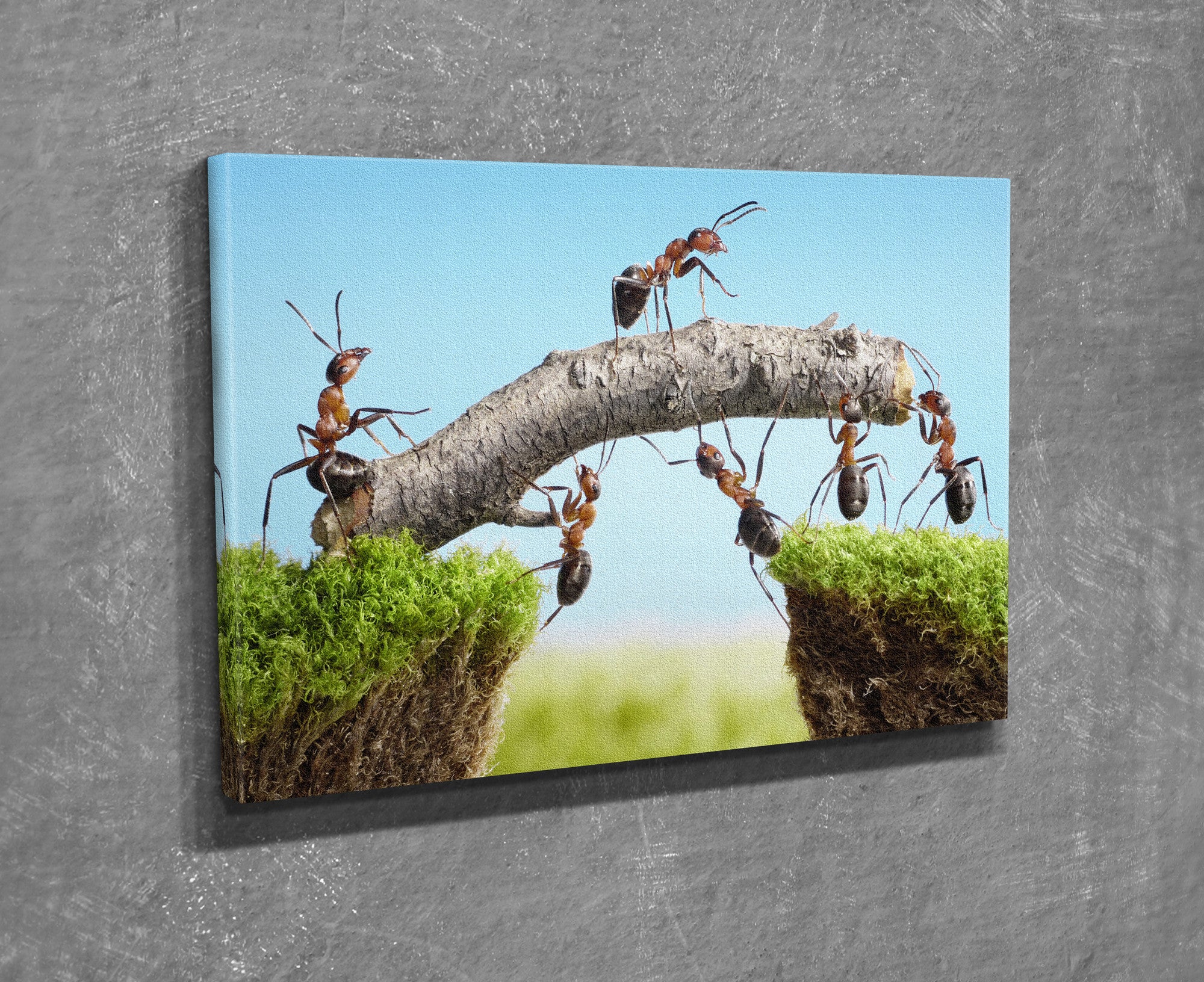 Quadro Decorativo em Tela com Moldura de Madeira - Impressão Digital Multicolor 30x40cm