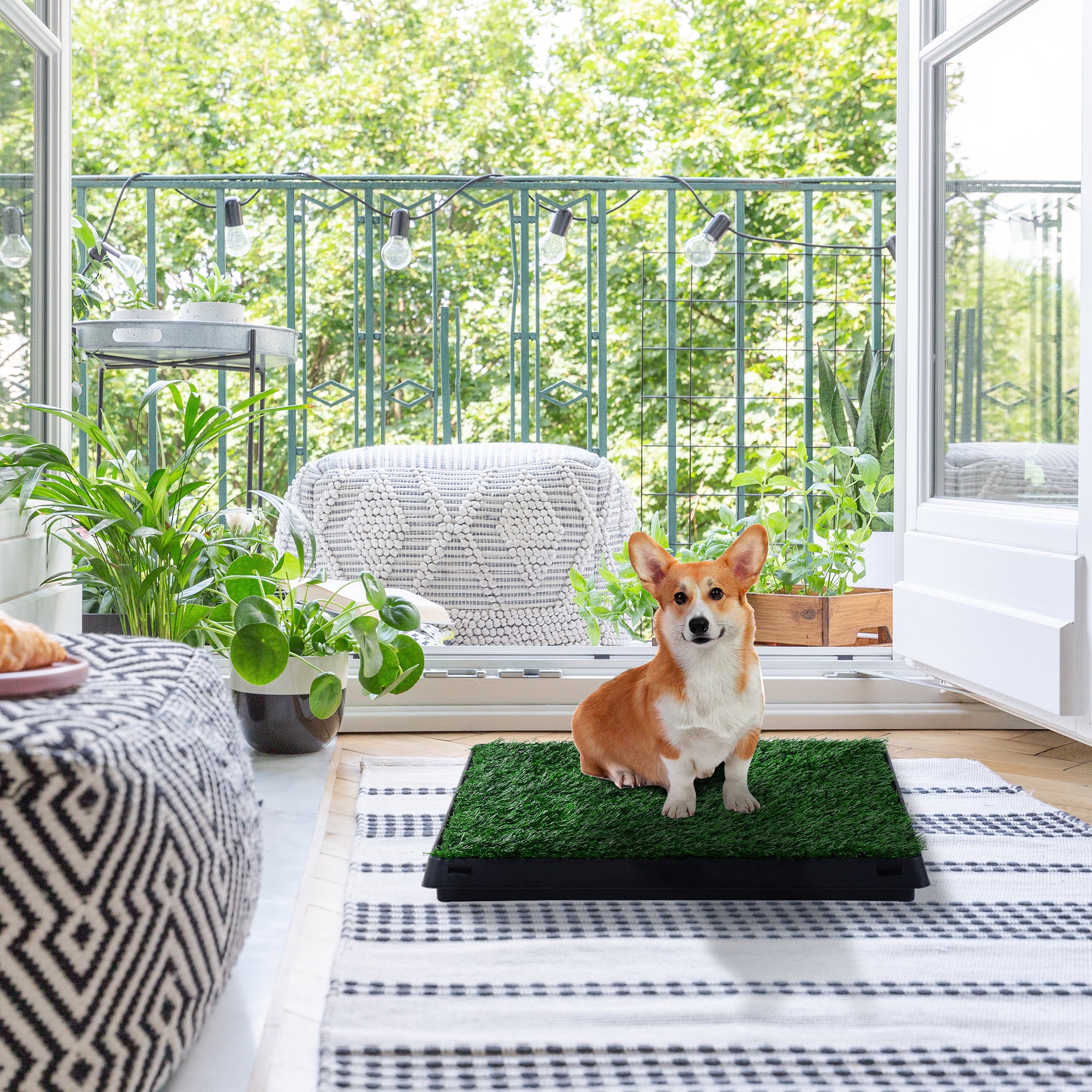 Sanita para Cães com Relva Artificial 51x63x6 cm - Verde e Preto