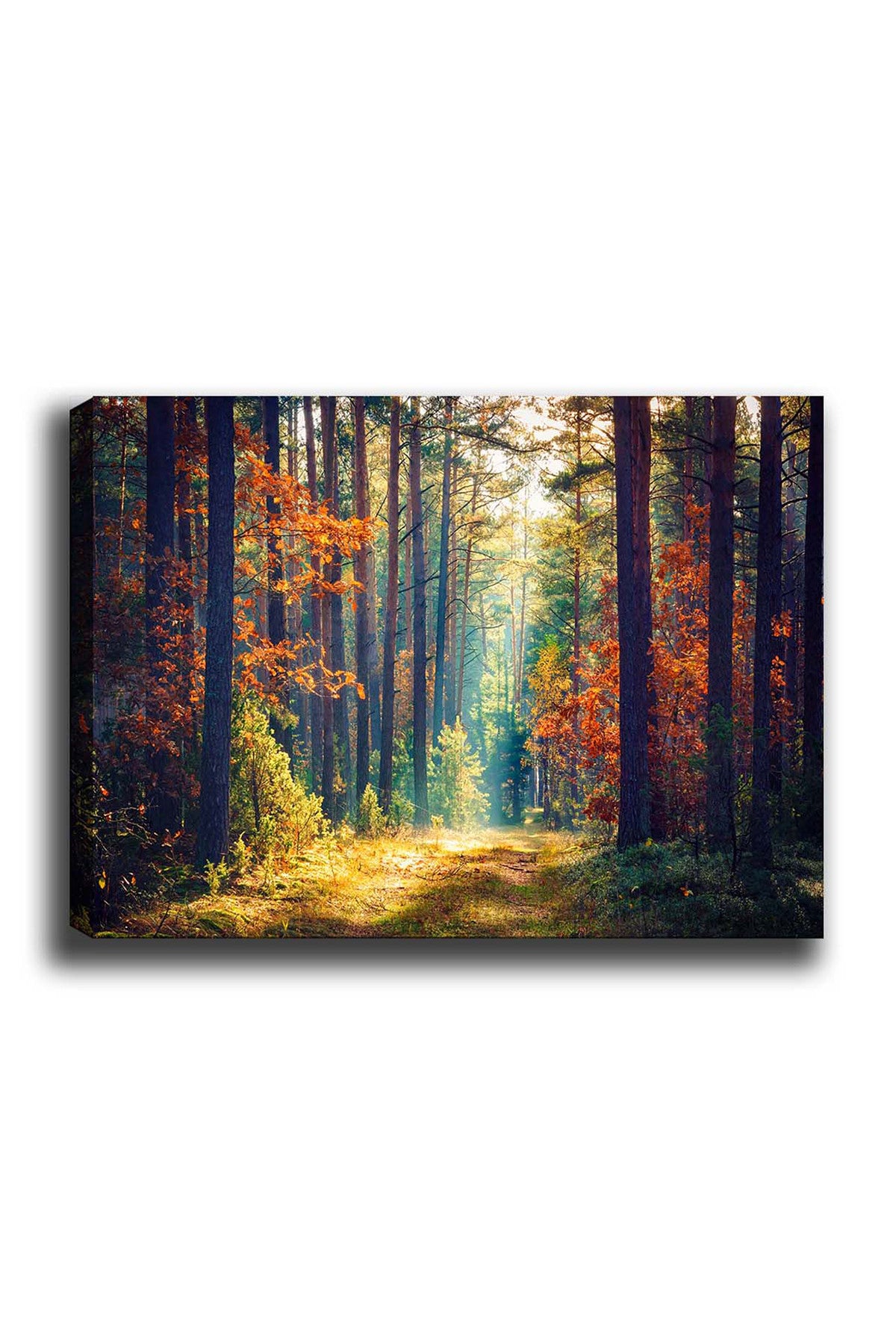 Impressionante pintura decorativa em tela, 50 x 70 cm | 100% tela, 100% moldura de madeira (3 cm de espessura) | Perfeita para amantes de decoração e arte