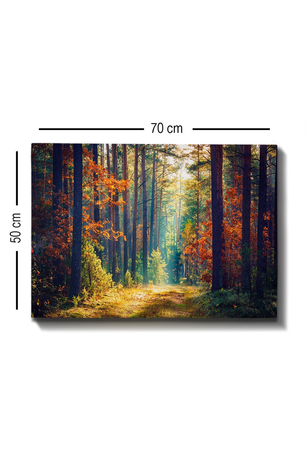 Impressionante pintura decorativa em tela, 50 x 70 cm | 100% tela, 100% moldura de madeira (3 cm de espessura) | Perfeita para amantes de decoração e arte