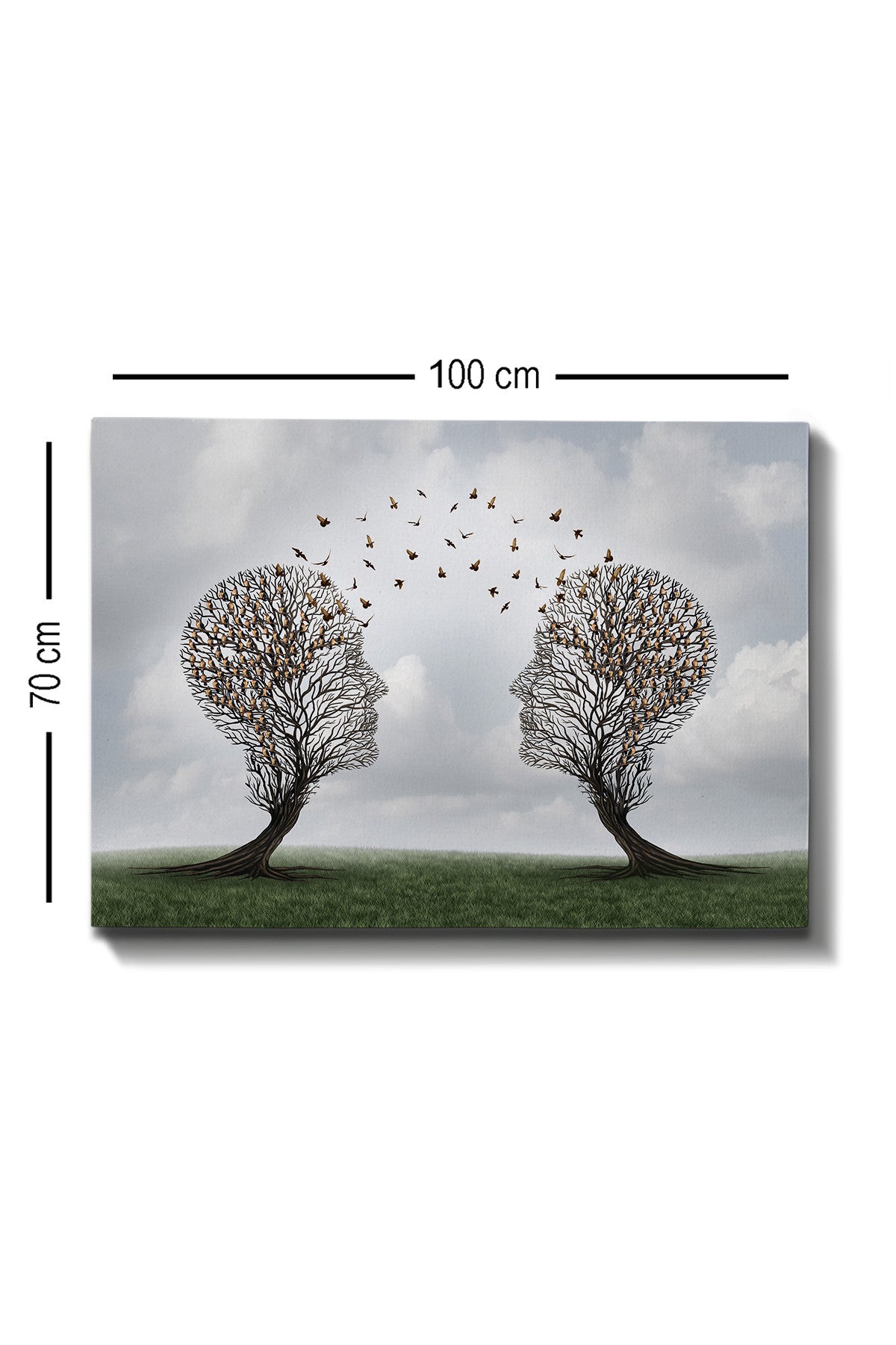 Impressionante pintura decorativa em tela, 70 x 100 cm | 100% tela, 100% moldura de madeira (3 cm de espessura) | Perfeito para amantes de decoração e arte, artista anônimo
