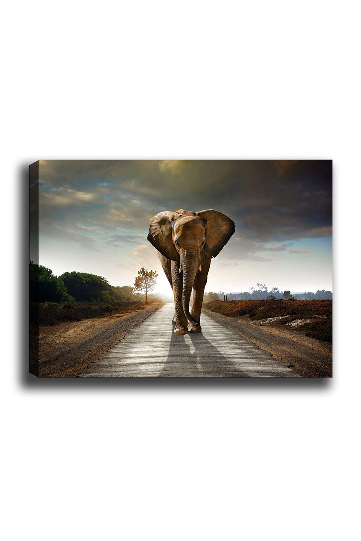 Impressionante pintura decorativa em tela, 70 x 100 cm | 100% tela, 100% moldura de madeira (3 cm de espessura) | Perfeito para amantes de decoração e arte