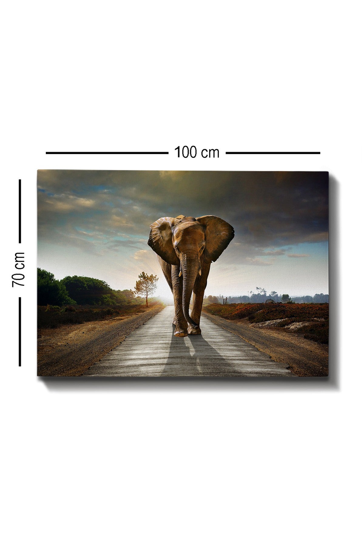 Impressionante pintura decorativa em tela, 70 x 100 cm | 100% tela, 100% moldura de madeira (3 cm de espessura) | Perfeito para amantes de decoração e arte