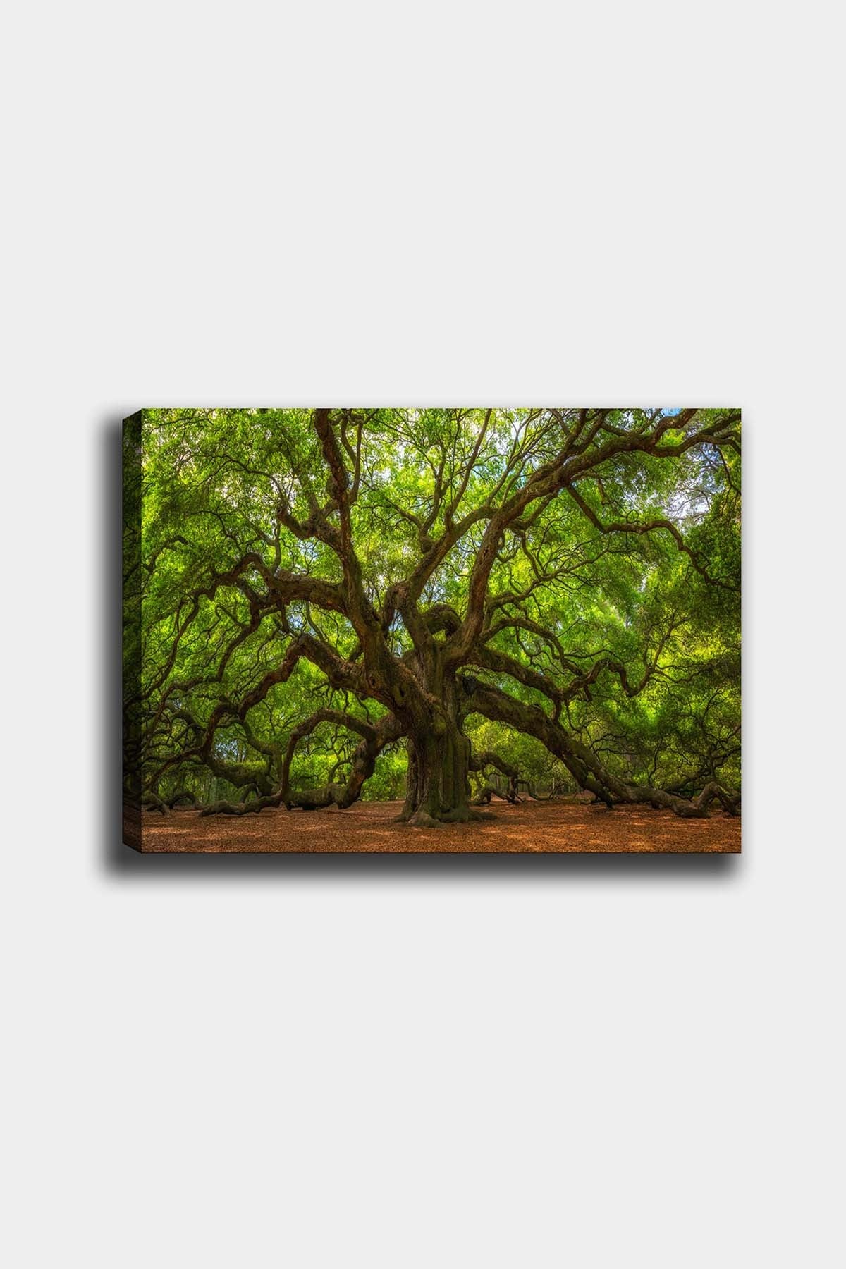 Impressionante pintura decorativa em tela, 50 x 70 cm | 100% tela, 100% moldura de madeira (3 cm de espessura) | Perfeita para amantes de decoração e arte