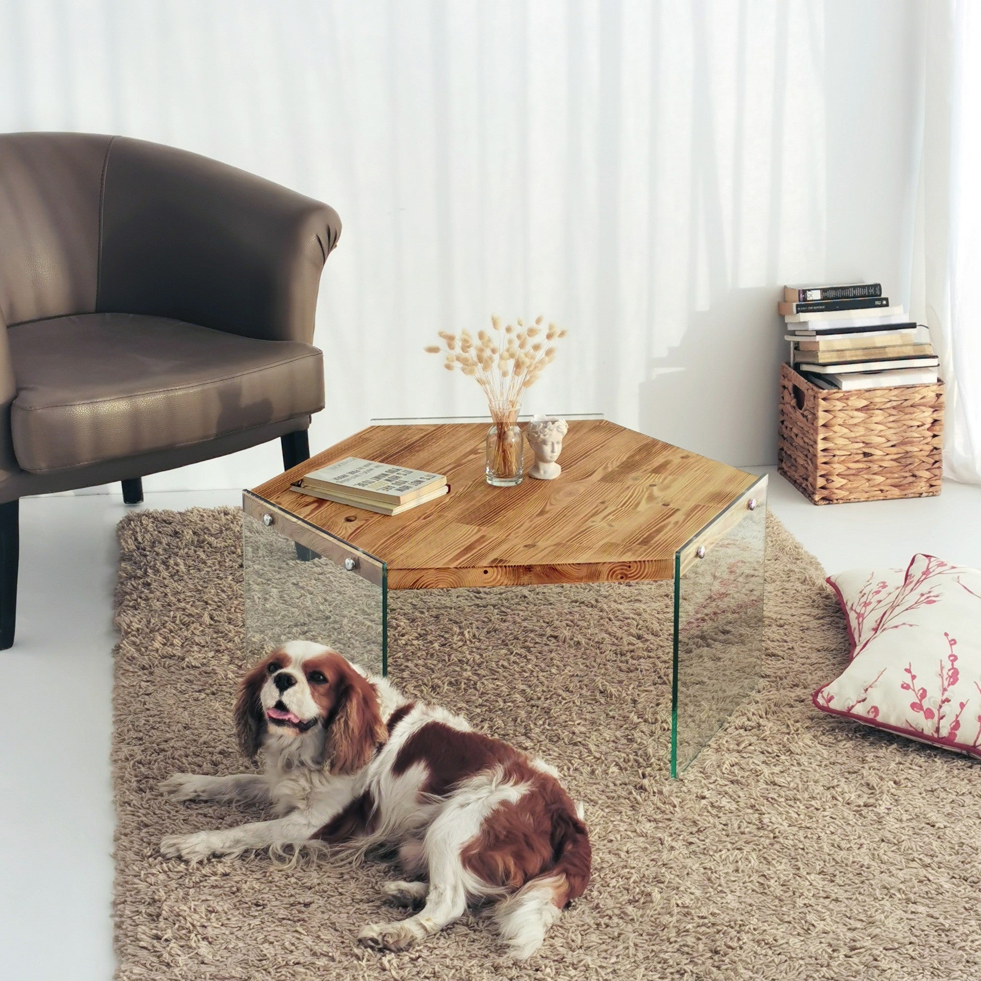 Mesa de Centro Moderna, Cor Carvalho, 80 x 35 x 70 cm | 100% Madeira Maciça de Pinho, 8 mm de Espessura, Pés de Vidro Temperado | Design Escandinavo Ecológico, Montagem Necessária