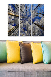 Conjunto de Quadros Decorativos em MDF Multicolor – 3 Peças (20x50 cm cada), Tamanho Total 70x50 cm, MDF 3 mm