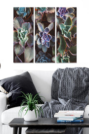 Conjunto de Quadros Decorativos em MDF (3 Peças) – Multicolor – 20 x 50 cm cada, Total 70 x 50 cm, Espessura 3 mm