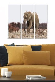 Quadro Decorativo em MDF Multicolor – Conjunto de 3 Peças, 70x50 cm (20x50 cm cada), 3 mm – MDF1170103