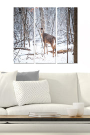 Tríptico Decorativo em MDF Multicolor (3 Peças) – 20x50 cm cada, 70x50 cm total, espessura 3 mm