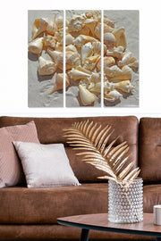 Quadro Decorativo Tríptico em MDF 100% Multicolor — 3 Peças, Total 70x50 cm (3 mm)