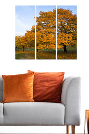 Tríptico Decorativo em MDF – Multicolor, 70 x 50 cm (3 Peças, 3 mm)