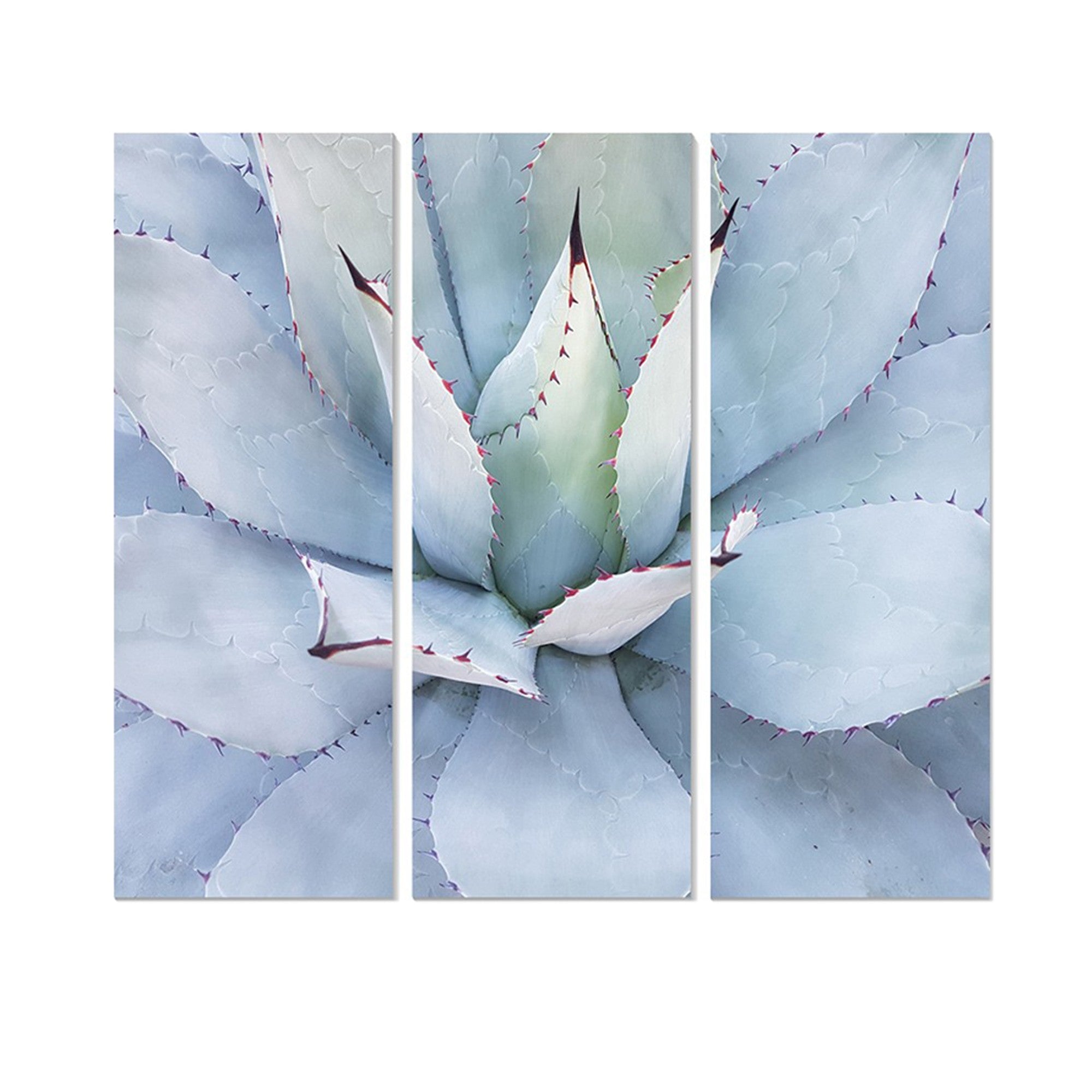 Conjunto de Quadros Decorativos em MDF Multicolor (3 Peças) – 20x50 cm cada, Total 70x50 cm, Espessura 3 mm