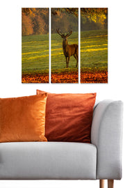 Quadro Decorativo em MDF Multicolor (3 Peças) 70x50 cm, 3 mm – Ref. MDF1764608 | Cód. 553BNC1624