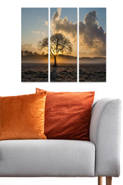 Quadro Decorativo em MDF Multicolor (Conjunto de 3) – 70 x 50 cm, 100% MDF 3 mm