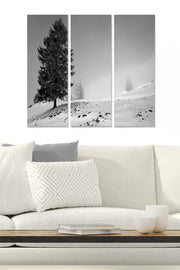 Quadro Decorativo em MDF Multicolor (Conjunto 3 Peças) 70x50 cm – 100% MDF 3 mm