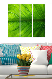 Conjunto de 3 Quadros em MDF Multicolor (20 x 50 cm cada) – Total 70 x 50 cm, 3 mm