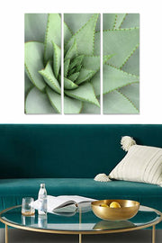 Quadro Decorativo em MDF (3 Peças) Multicolor – 20x50 cm cada, Tamanho Total 70x50 cm, Espessura 3 mm – Modelo MDF2388901