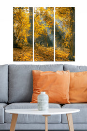 Tríptico Decorativo em MDF Multicolor — 70x50 cm (3x 20x50 cm, 3 mm)