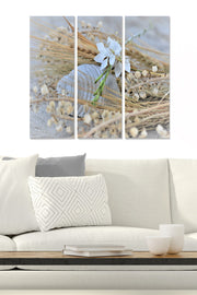 Tríptico Decorativo em MDF Multicolor 70x50 cm (3 Peças, 3 mm)