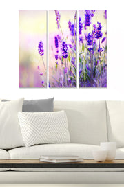 Pintura Decorativa em MDF – Conjunto 3 Peças, Multicolor, 70x50 cm (3x20x50), Espessura 3 mm