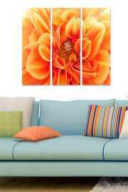 Quadro Decorativo em MDF Multicolor — Conjunto de 3 Peças, 20 x 50 cm cada (Espessura 3 mm), Tamanho Total 70 x 50 cm