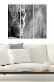 Quadro Decorativo em MDF Multicolor (Conjunto de 3) 70x50 cm, 3 mm – MDF2810383