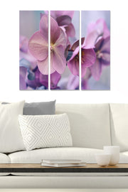 Quadro Decorativo Tríptico em MDF 100% Multicolor – 3 Peças (70 x 50 cm, 3 mm)