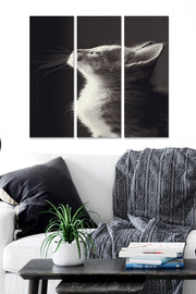 Quadro Decorativo em MDF (3 Peças) – Multicolor – 20x50 cm cada (Total 70x50 cm), 3 mm de espessura