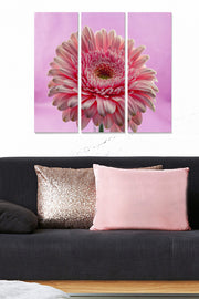 Quadro Decorativo em MDF Multicolor (Tríptico 3 Peças) – 70 x 50 cm