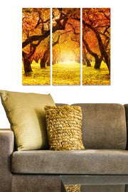 Quadro Decorativo MDF Multicolor 3 Peças 70x50 cm (MDF 3 mm) — MDF34148