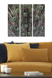 Quadro Decorativo em MDF (3 Peças) Multicolor – Total 70 x 50 cm, 3 mm | MDF3499231