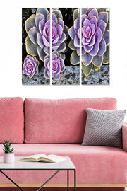 Conjunto de Quadros Decorativos em MDF 3 mm (3 Peças) Multicolor 70x50 cm