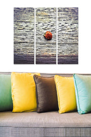 Tríptico Decorativo em MDF Multicolor – 70x50 cm (3x 20x50 cm), Espessura 3 mm