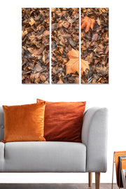 Quadro Decorativo em MDF Multicolor (Conjunto de 3) 70x50 cm – MDF 3 mm