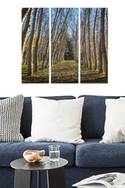 Quadro Decorativo em MDF (3 Peças), Multicolor, 70 x 50 cm