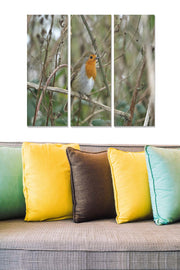 Quadro Decorativo em MDF Multicolor (Conjunto de 3 Peças) 70x50 cm – Espessura 3 mm – MDF3905930