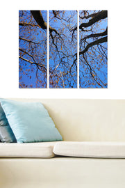 Quadro Decorativo Tríptico em MDF Multicolor 70x50 cm (3 Peças, 3 mm)