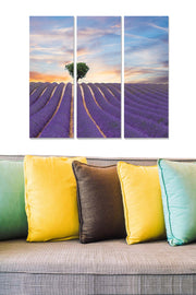 Quadro Decorativo em MDF Multicolor (3 Peças) 70x50 cm, MDF 100% 3 mm – MDF457535692