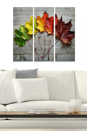 Tríptico Decorativo em MDF Multicolor 70x50 cm (3 Peças)