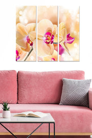 Conjunto de Quadros Decorativos em MDF (3 Peças) Multicolor — Total 70x50 cm (3x 20x50) | Espessura 3 mm