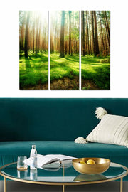 Tríptico Decorativo em MDF (3 mm) – Multicolor, 3 Peças 20x50 cm (Total 70x50 cm)