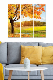 Conjunto de Quadros Decorativos 100% MDF, Multicolor – 3 Peças (20x50 cm cada), Total 70x50 cm