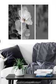 Tríptico Decorativo em MDF (3 Peças) Multicolor 20x50 cm cada, Total 70x50 cm – MDF659216