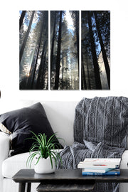 Quadro Decorativo em MDF (3 Peças) Multicolor, 20 x 50 cm cada, Total 70 x 50 cm, 100% MDF 3 mm – MDF839805