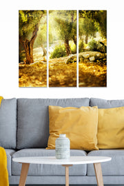 Conjunto de 3 Quadros Decorativos em MDF Multicolor — 70x50 cm (20x50 cm cada), 3 mm