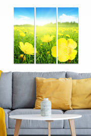 Quadro Decorativo em MDF Multicolor (3 Peças) – 20x50 cm cada, 70x50 cm total, 3 mm