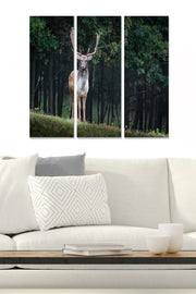 Conjunto de 3 Quadros Decorativos em MDF Multicolor – 70 x 50 cm (total), 3 mm