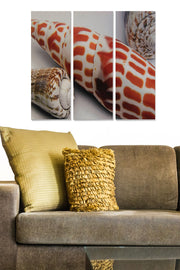 Quadros Decorativos em MDF (Conjunto de 3), Multicolor — 70 x 50 cm (Total)